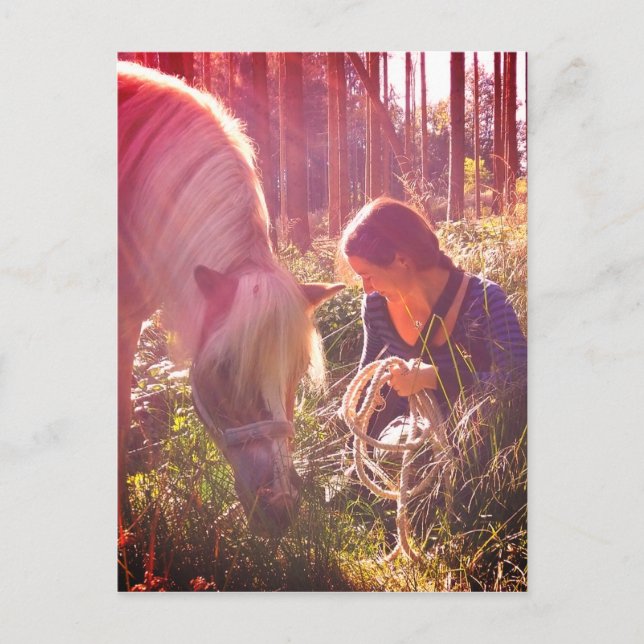 Pony im Wald Postkarte (Vorderseite)