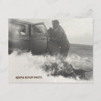 Pony in Car Postcard Postkarte