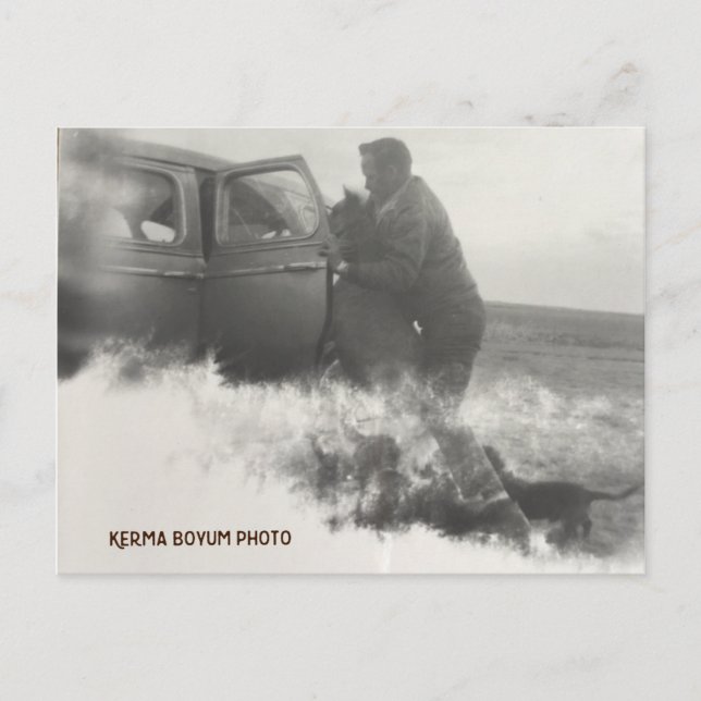 Pony in Car Postcard Postkarte (Vorderseite)