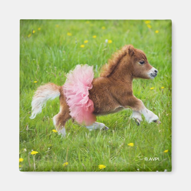 Pony in Tutu Magnet (Vorne)