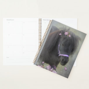Pony - Kalender, Planer