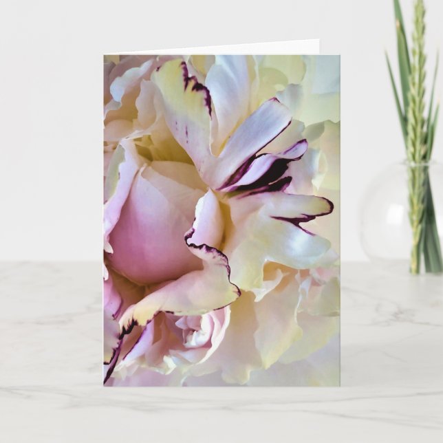 Pony, Karte (Vorderseite)