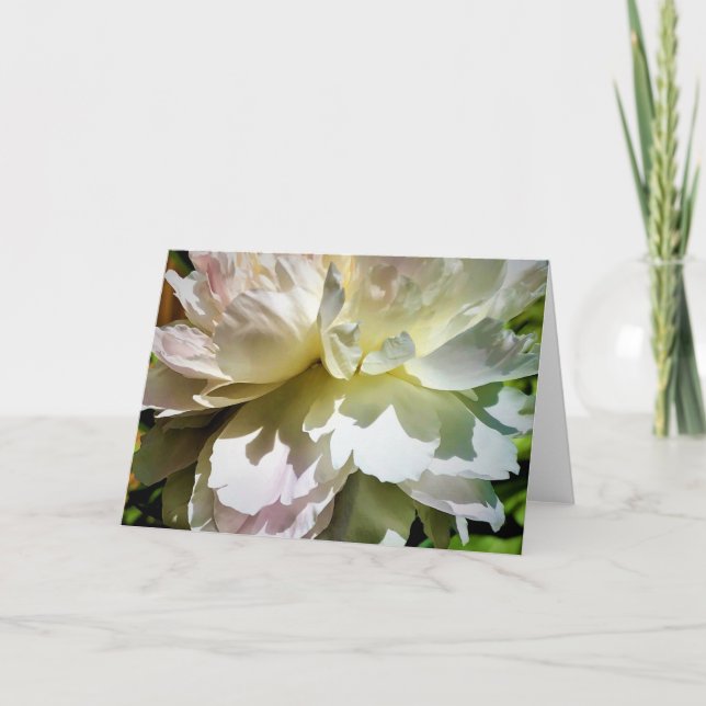 Pony, Karte (Vorderseite)