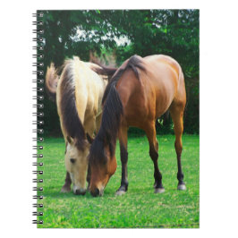 Pony Liebe Notebook Notizblock