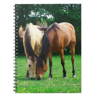 Pony Liebe Notebook Notizblock