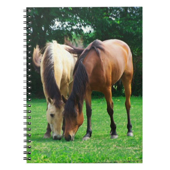 Pony Liebe Notebook Notizblock (Vorderseite)