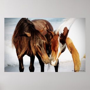 Pony Liebe Poster