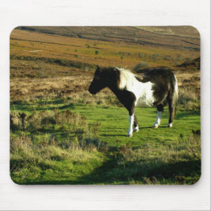 Pony on Dartmoor Mousepad