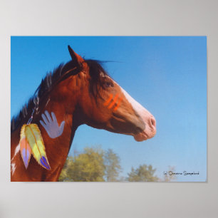 Pony Paint Pferd Feathers Poster