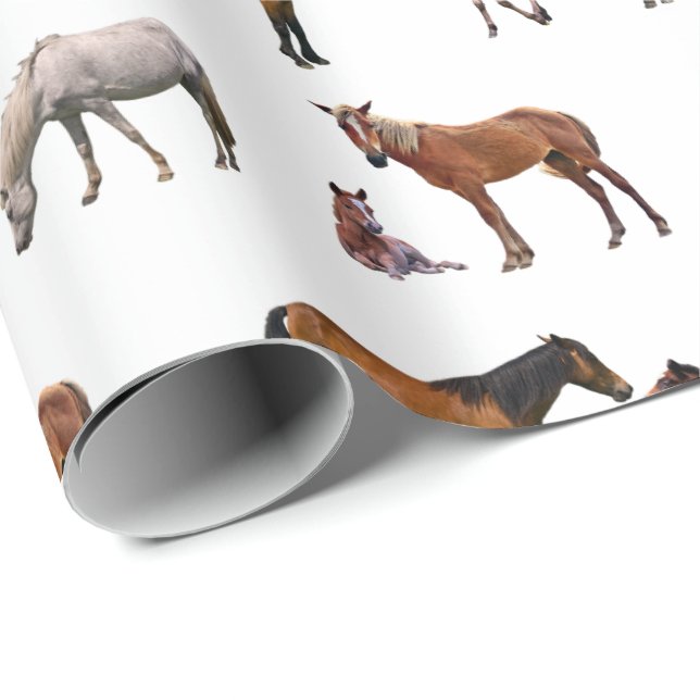 Pony Party Wrapping Paper (Farbe auswählen) Geschenkpapier (Rolleneckpunkt)