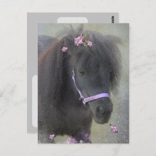 Pony - Postcard Postkarte
