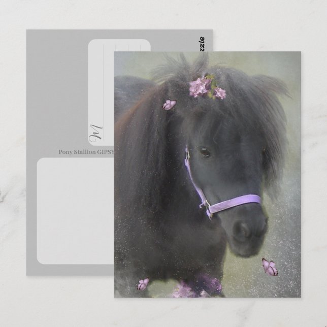 Pony - Postkarte (Vorne/Hinten)