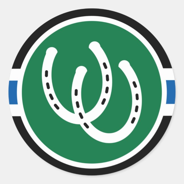 Pony Pride Flag  Runder Aufkleber (Vorderseite)