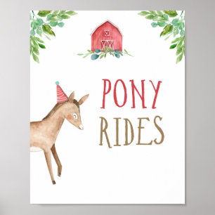 Pony Rides Farm Animals Barnyard Boy Birthday Poster