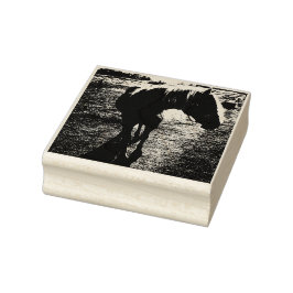 Pony Silhouetted Kautschuk Briefmarke Gummistempel