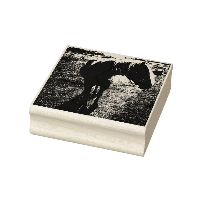 Pony Silhouetted Kautschuk Briefmarke Gummistempel (Stempel)