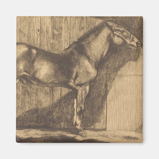 Pony-Sketch (von Paul-Albert Besnard) Magnet (Vorne)