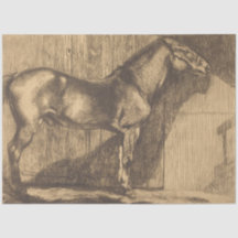 Pony-Sketch (von Paul-Albert Besnard)