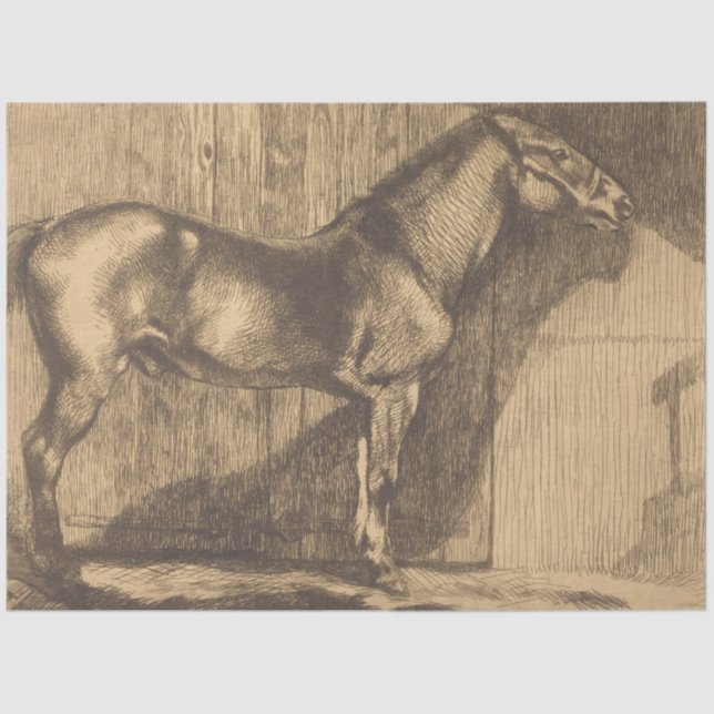 Pony-Sketch (von Paul-Albert Besnard) Seidenpapier (Vorderseite)