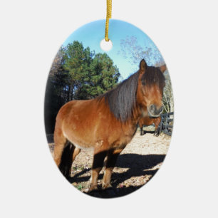 Pony Türkise Sky Keramik Ornament