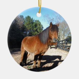 Pony Türkise Sky Keramikornament