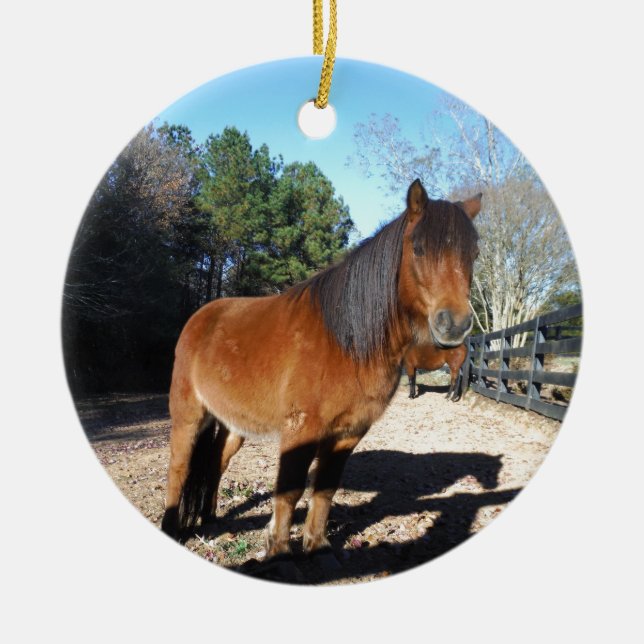 Pony Türkise Sky Keramikornament (Vorne)