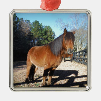 Pony Türkise Sky Ornament Aus Metall