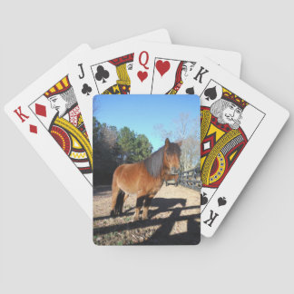Pony Türkise Sky Spielkarten