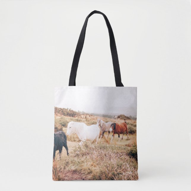 PONYHÜRDE IM HERBST (Vorderseite)