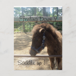 Ponyprofil Postkarte