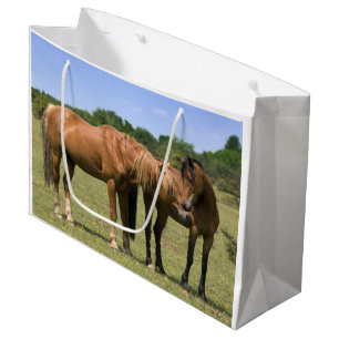 Ponys in der Liebe Geschenktasche Große Geschenktüte