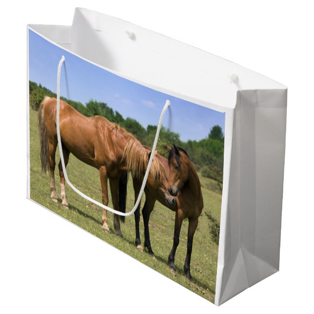 Ponys in der Liebe Geschenktasche Große Geschenktüte (Vorderseite Schrägansicht)