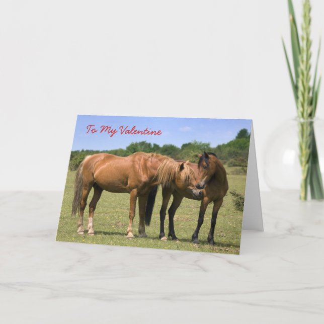 Ponys in Liebe Card - Valentine Feiertagskarte (Vorderseite)