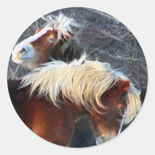 Ponys Runder Aufkleber