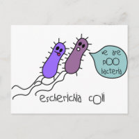 Poo Bacteria