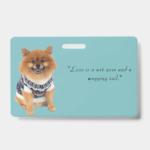 Poochie Hundepullover Ausweis