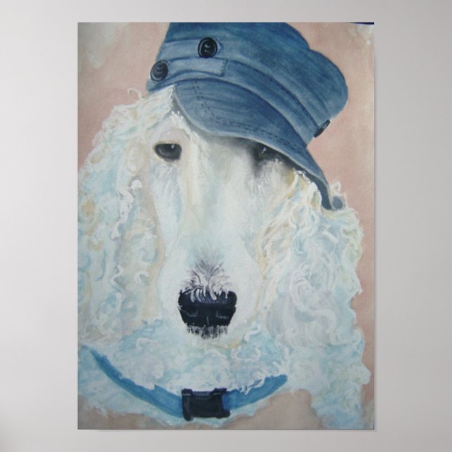 Pooddruck Poster (Vorne)