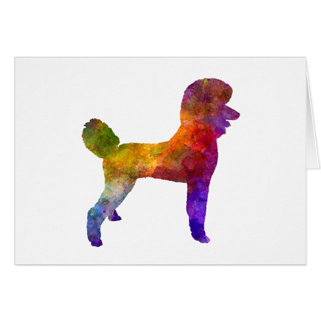 Poodle 01 im Watercolor (Vorderseite (Horizontal))