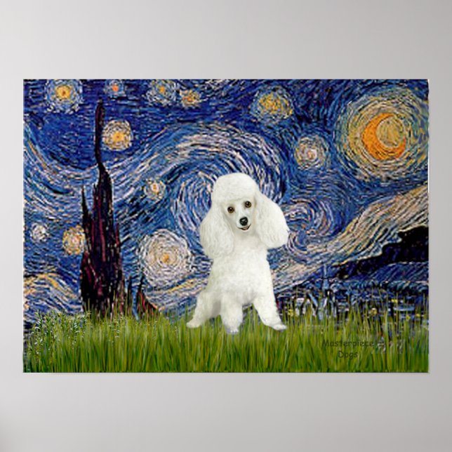 Poodle (14W) - Starry Night Poster (Vorne)