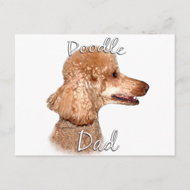 Poodle (Aprikose) Vater 2 Postkarte (Vorderseite)
