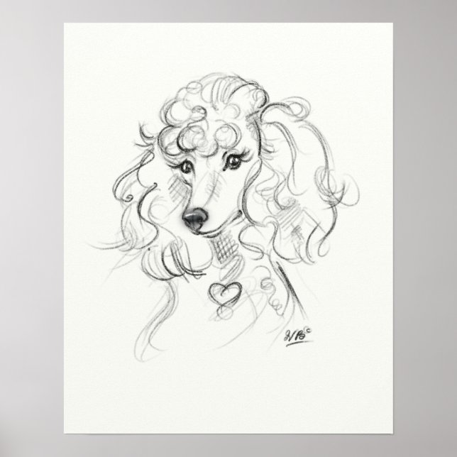 Poodle Art Print | Skizze Poster (Vorne)