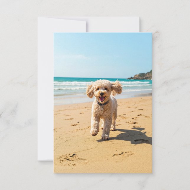 Poodle auf der Beach-Note-Karte Dankeskarte (Vorderseite)