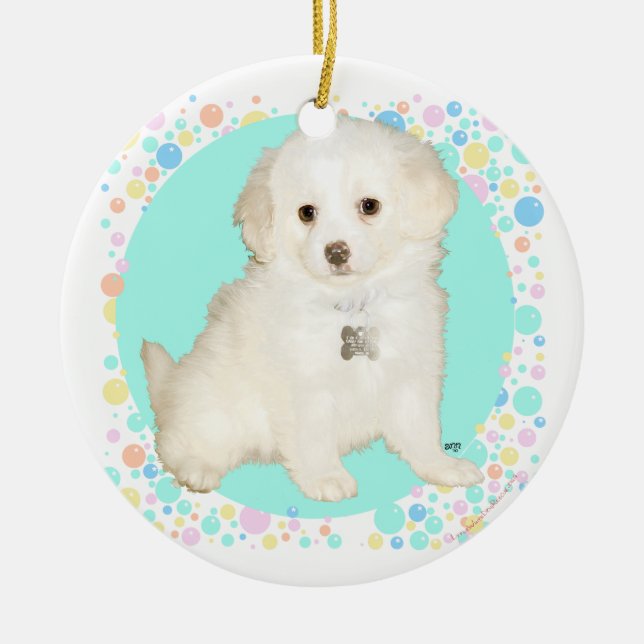 Poodle / Bichon Mix Puppy Celebrates Life Keramik Ornament (Vorne)