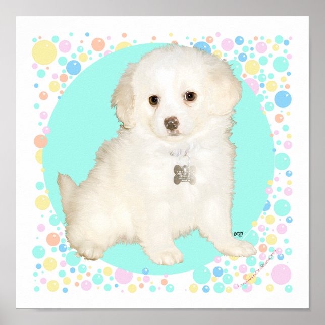 Poodle / Bichon Mix Puppy Celebrates Life Poster (Vorne)
