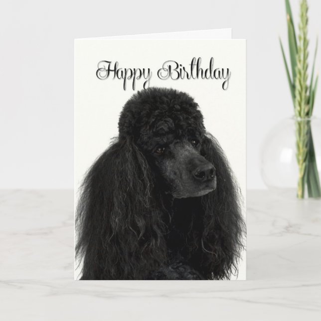 Poodle Birthday Card Karte (Vorderseite)
