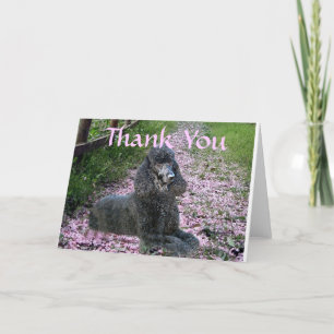 Poodle Black Danke-You-Card-Blume Dankeskarte