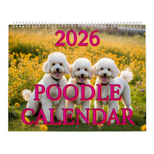 POODLE CALENDAR 2026 KALENDER