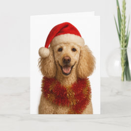 Poodle Christmas card Karte