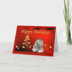 Poodle Christmas Card Stars Feiertagskarte