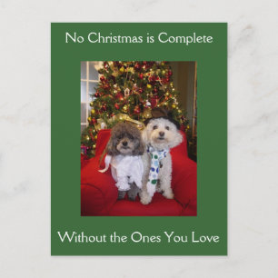 Poodle Christmas wünscht Feiertagspostkarte